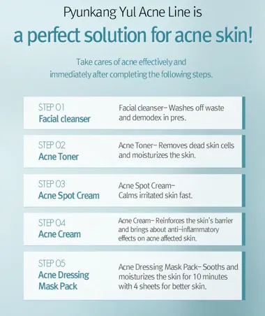 Pyunkang Yul ACNE Dressing Mask Pack