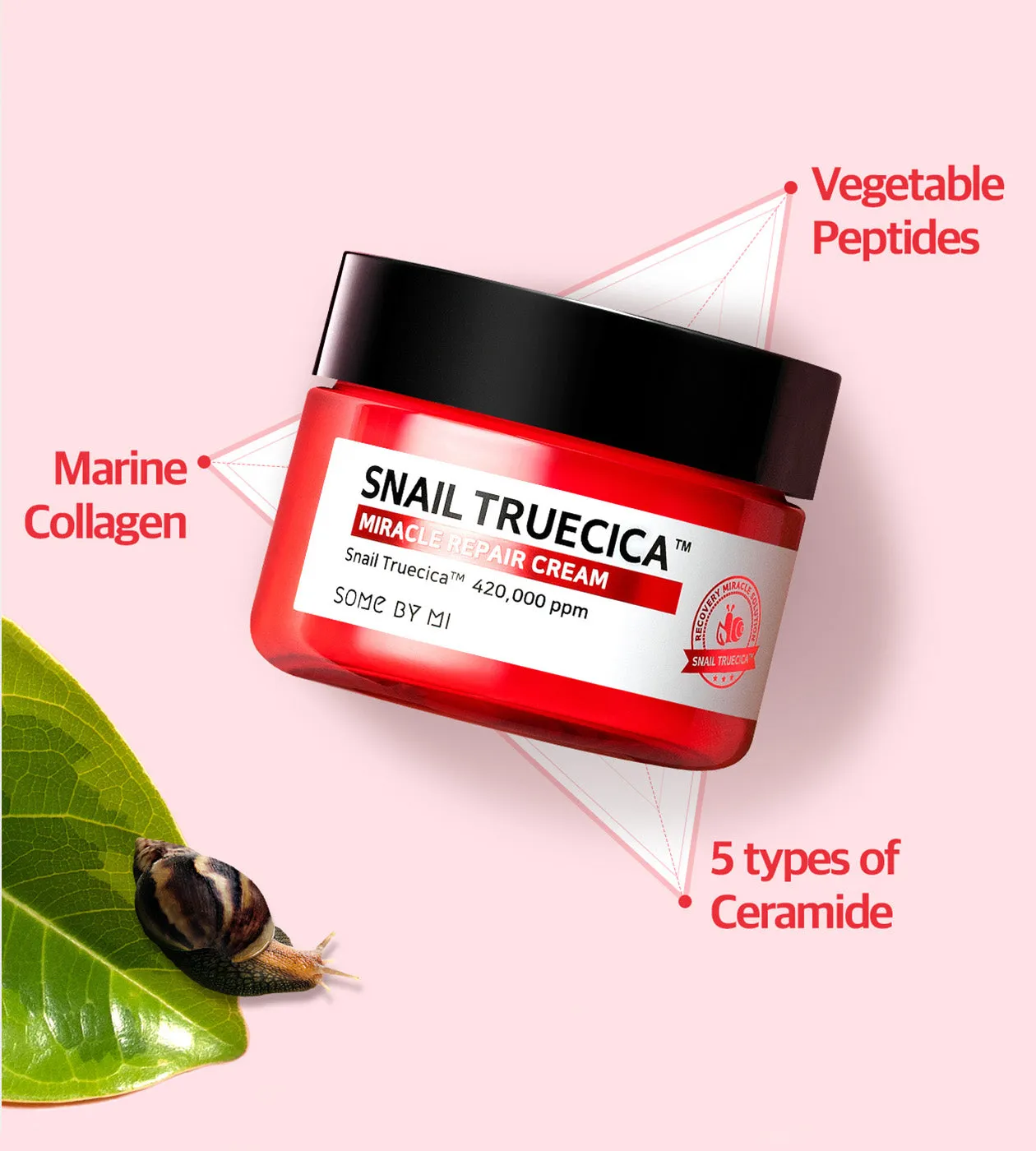 Some By Mi Snail Truecica Miracle Repair Cream 60g
