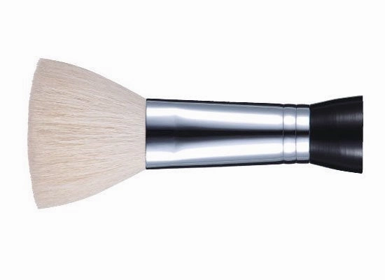 Tanseido Facial Cleansing Brush XGQ-01